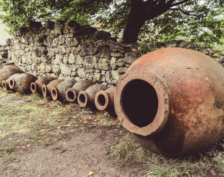 Wine and culinary in Kakheti